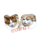 Izumo no Cat（個別スタンプ：3）