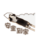 Live-Action Fe（個別スタンプ：3）
