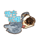 Live-Action Fe（個別スタンプ：4）