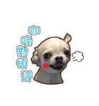 Live-Action Fe（個別スタンプ：7）