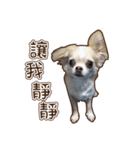 Live-Action Fe（個別スタンプ：8）