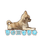 Live-Action Fe（個別スタンプ：10）
