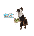 Live-Action Fe（個別スタンプ：14）