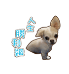 Live-Action Fe（個別スタンプ：16）