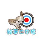 Live-Action Fe（個別スタンプ：17）