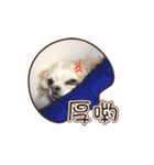 Live-Action Fe（個別スタンプ：23）