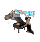 Live-Action Fe（個別スタンプ：24）