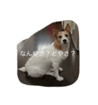 心さんのお気持ち2（個別スタンプ：4）