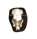 心さんのお気持ち2（個別スタンプ：7）