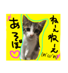 れっちゃんfamily（個別スタンプ：6）
