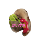 ポメラニアン チャング（個別スタンプ：6）