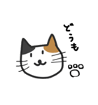 cats reply（個別スタンプ：1）