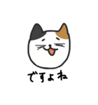 cats reply（個別スタンプ：3）