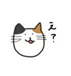 cats reply（個別スタンプ：6）