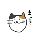 cats reply（個別スタンプ：9）
