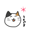 cats reply（個別スタンプ：12）