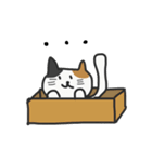cats reply（個別スタンプ：15）