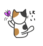 cats reply（個別スタンプ：17）