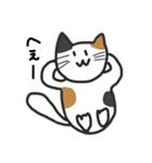 cats reply（個別スタンプ：19）