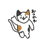cats reply（個別スタンプ：22）
