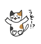 cats reply（個別スタンプ：23）