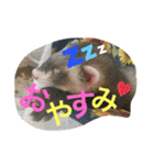 モカLife（個別スタンプ：1）