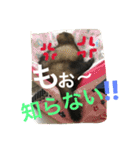 モカLife（個別スタンプ：2）