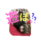 モカLife（個別スタンプ：3）