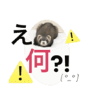 モカLife（個別スタンプ：4）
