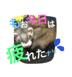 モカLife（個別スタンプ：6）