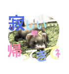 モカLife（個別スタンプ：8）