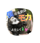 モカLife（個別スタンプ：9）