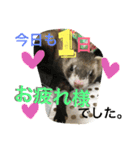 モカLife（個別スタンプ：11）