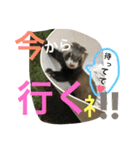 モカLife（個別スタンプ：12）