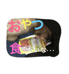 モカLife（個別スタンプ：13）