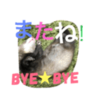 モカLife（個別スタンプ：14）