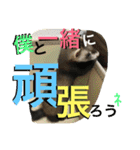 モカLife（個別スタンプ：16）