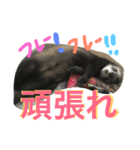 モカLife（個別スタンプ：17）
