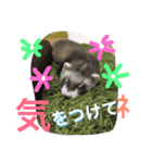 モカLife（個別スタンプ：24）