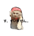 今日のおーしまさん（個別スタンプ：10）