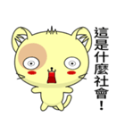 Sunny Day Happy Cat (Interesting)（個別スタンプ：5）