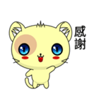 Sunny Day Happy Cat (Interesting)（個別スタンプ：19）