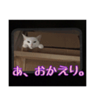 sweet にゃんず（個別スタンプ：6）