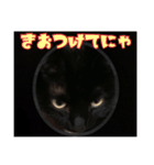 sweet にゃんず（個別スタンプ：10）