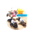 犬尾家の犬々part2（個別スタンプ：7）