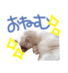 小太郎さんとあずきさん。（個別スタンプ：3）