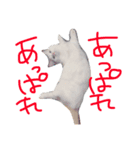 小太郎さんとあずきさん。（個別スタンプ：5）