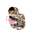 はーちゃんとちび（個別スタンプ：6）