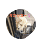 fuuuuuta（個別スタンプ：4）