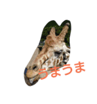 fuuuuuta（個別スタンプ：7）